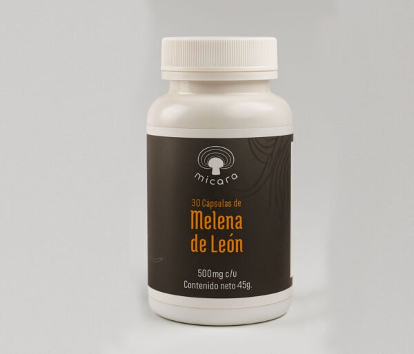 Melena de Leon ( hericium erinaceus)